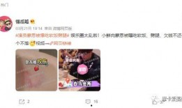 盘点明星爆料假瓜视频在线观看,盘点明星爆料假瓜视频，在线观看揭秘真相