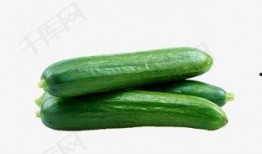 吃瓜网红视角下载安装